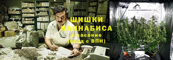 кокс Михайлов