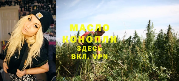 дмт Мегион