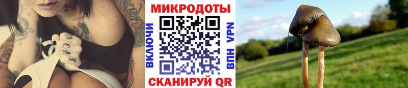 Псилоцибиновые грибы MAGIC MUSHROOMS  Ханты-Мансийск 