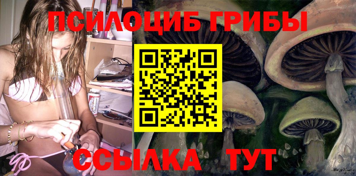 Галлюциногенные грибы Psilocybine cubensis Ханты-Мансийск