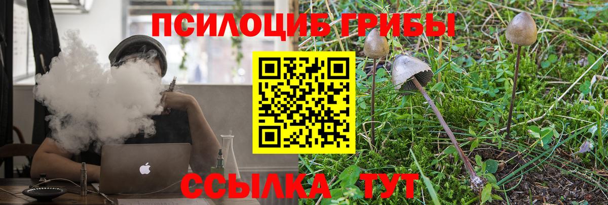Галлюциногенные грибы Psilocybe  Ханты-Мансийск 