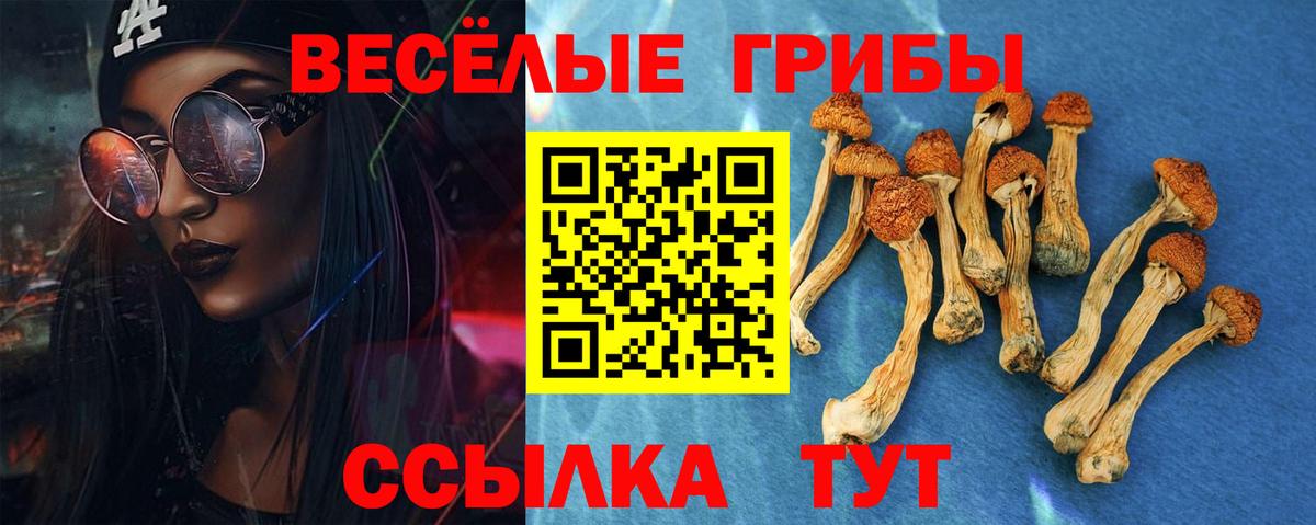 Ханты-Мансийск  Галлюциногенные грибы Psilocybine cubensis  Вход с VPN  Псилоцибиновые грибы мицелий 